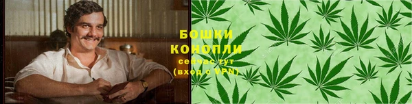 твердый Белокуриха
