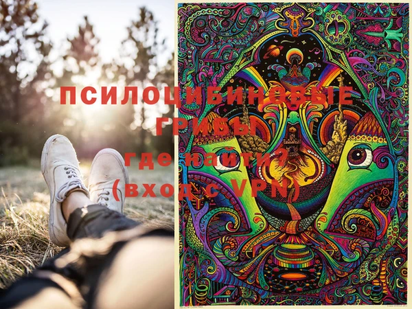 твердый Белокуриха